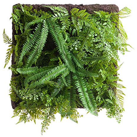 Panel de Pared de Helecho y Verde