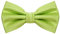 MASADA Herren Fliege Pistaziengrün Seidenlook, stufenlos verstellbar, handgefertigt, Hakenverschluss - 12 x 6 cm 100% Polyester