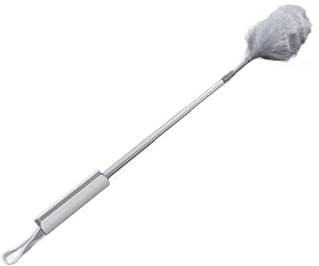 Akozon Wireless Electric Dust Duster - Rechargeable Handheld Vacuum for Car, Bookshelves, Wall Artwork, Lamp Tubes & Plants - Built-in Battery Included