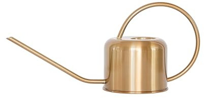 Arrosoir pour plantes d'intérieur (or) de qualité supérieure – Jardinage décoratif moderne doré/argenté – Parfait pour l'intérieur avec long bec verseur