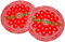 Magma 60692 Technics Slipmat Bandana 3: Rojo