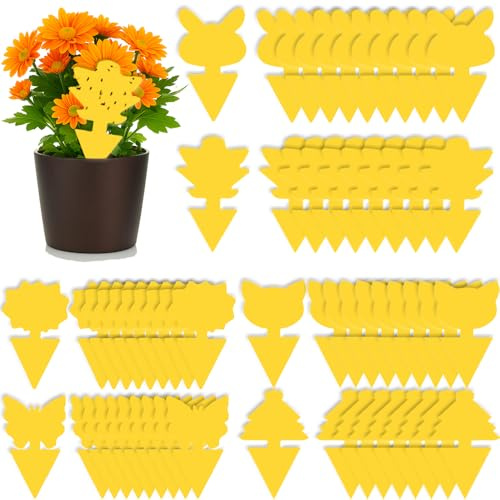 UUNEYX 60 Pcs Fruit Fly Traps,Double-sided Fungus Gnat Killer Yellow Sticky Fly Traps Insect Catcher for Multiple Insects,Indoor Plants (60 Pcs)