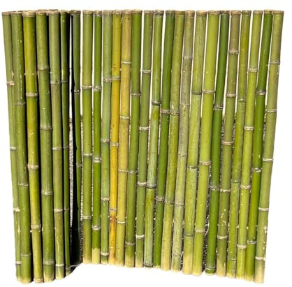 Bali Big Green Bambus Sichtschutzzaun, Naturmaterial, Naturgrün bis Braun-Gelb, 150x200cm, 4-5cm Rohrdurchmesser, Handgefertigt