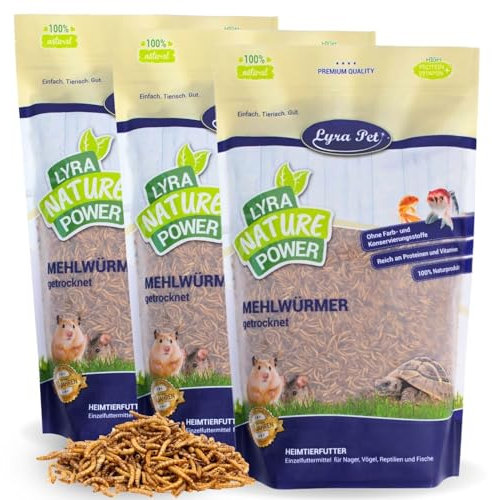 Lyra Pet® | 3 x 1 kg Mehlwürmer getrocknet | Proteinreiches Vogelfutter | Für Wildvögel, Nager, Reptilien & Fische | Nahrhaftes Futter | Energiespender für Insektenfresser | Vitamine & Mineralstoffe