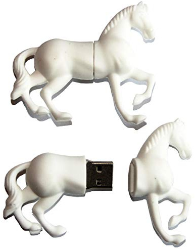 H-Customs Pferd Weiß Reiten USB Stick 64 GB USB 2.0