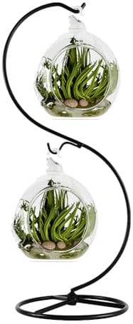 Fosinz Ornament Display Stand Iron Hanging Stand Holder Hooks for Hanging Glass Globe Air Plant Terrarium Ball Christmas Ornament Home Wedding Decoration