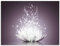 ARTland Wanddeko Wandbild Alu Verbundplatte für Innen & Outdoor Bild Asien Botanik Blumen Blüten Lotusblume Seerose Modern violett S6CA