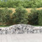 LAPOOH Gabionen mit Hochbogen 7 STK Gabionenkörbe, Gabionen Hochbeet, Steinkorb, Gabionengitter, Drahtkorb Für Pflanzen, Kräuterspirale Für Garten, 400x50x40/60cm Verzinktes Eisen