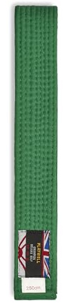 Playwell Martial Arts Gürtel aus Baumwolle, einfarbig, Karate, Judo Taekwondo, grün, 300cm
