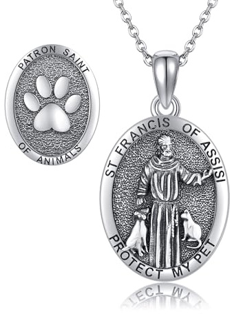 DAYLINLOVE St Franziskus von Assisi Halskette 925 Sterling Silber St Francis Medal Patron Saint Of Animals Halskette Religiöse Amulette Schmuck Geschenke für Männer Frauen