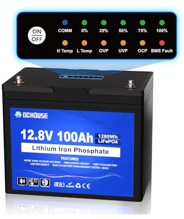 DCHOUSE Batterie LiFePO4 12V 100Ah pour moteurs de pêche à la traîne avec indicateurs d'état SOC, Bluetooth et coupure basse température, BMS intelligent 100A,jusqu'à 15000 cycles pour camping-car