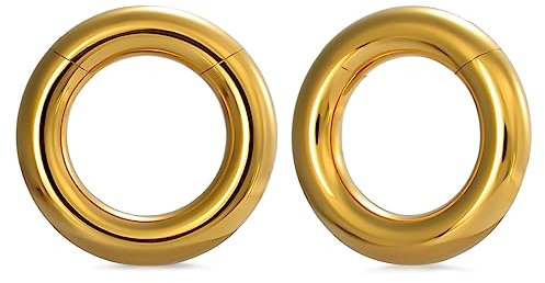 PONWAG 1 Paar nahtlose Ohrgewichte Hoop Gauge für gedehnte Ohren Dangle Gauge Hanger 2g Plug Tunnles für Ohr Frauen Body Piercing Schmuck