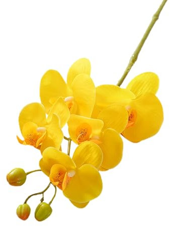 Qinlenyan Fiori artificiali per esterni, orchidee falene di lunga durata con stelo, realistiche, 5 teste, fiori finti Phalaenopsis per casa, ufficio, tavolo, centrotavola, ramo finto giallo