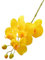 Qinlenyan Fiori artificiali per esterni, orchidee falene di lunga durata con stelo, realistiche, 5 teste, fiori finti Phalaenopsis per casa, ufficio, tavolo, centrotavola, ramo finto giallo