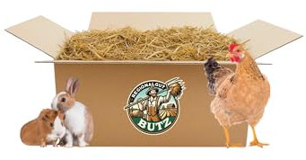 Palo de paja de cebada de 14 kg para conejos, pollos, cobayas, caballos, producidos regionalmente, calidad premium, cosecha 2025