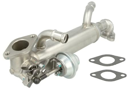 ENGITECH ENT520006 Edelstahl AGR-Kühler Rückschlagventil 20 mm Gewinde oder Flansch 15 mm G Stecker 2-Port CE