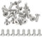 PATIKIL 1/4-20 x 5/8 Viti a Testa Svasata Piatta, 20pz Bulloni a Testa Piana Guida Esagonale Viti per Macchine Acciaio Inossidabile 304 18-8 Filettatura Completa Grado 6.8