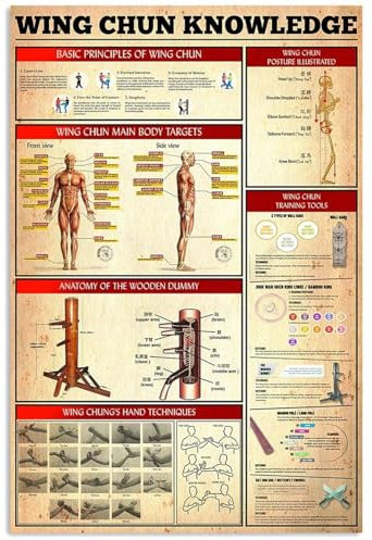 Metallschilder mit Wing-Chun-Wissen, Grundprinzipien des Wing-Chun-Posters, Kung-Fu-Lernanleitung, Blechschild, Heimzimmer, Club, Kampfsporthalle, Wanddekoration, Plakette, 20,3 x 30,5 cm