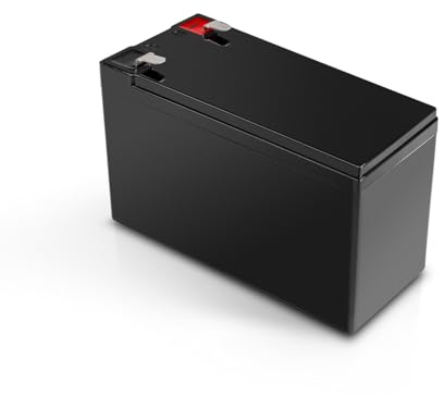 Teufel ROCKSTER AIR 2 Ersatz Akku oder Zweitakku für den ROCKSTER AIR 2 | Leistungsstarker Hochleistungs-Lithium-LiFePO4-Akku - bis zu 58 Stunden bei mittlerer Lautstärke