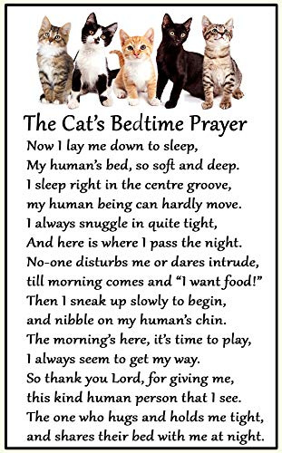 Cat Bedtime Prayer for Cat Lovers - Large Fun flexible Fridge Magnet- size 16cms x 10 cms (approx. 6 x4)