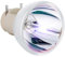 iReijomoi Lampe de rechange 5J.J7L05.001 5J.J9H05.001 pour projecteur BENQ W1070 W1080ST W1070+ HT1075 HT1085ST i700