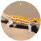 YYHWHJDE Lufterfrischer im Sand-Leoparden-Gecko-Muster, runde Form, 6er-Pack: hängende Duftkarten für Kleiderschrank, Badezimmer, Auto, Innendekoration