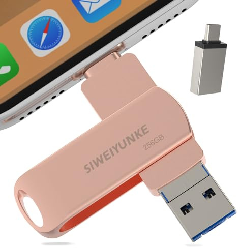 Chiavetta di memoria per iPhone da 256 GB, compatibile con iPhone, chiavetta USB con protezione password, rosa