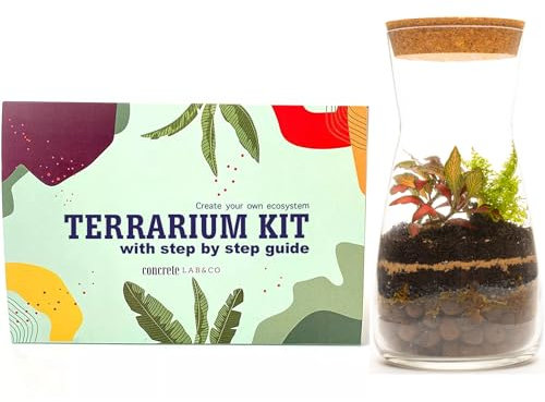 Kit de terrariums en verre transparent faits à la main Bouchon rond en liège Pour jardin Mousse de fittonia en pièce maîtresse Hauteur de 19 cm, Kit
