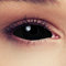 DESIGNLENSES komplett schwarze Full Sclera farbige Kontaktlinsen, 22mm Durchmesser, 1 Paar (2 Stück) + Aufbewahrungsbehälter Black Witch