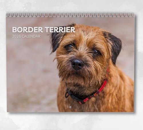 Border Terrier Kalender 2026 - Monatlicher Wandkalender mit Notizen, hängend im A4-Format, inklusive Schlüsseldaten & Feiertagen