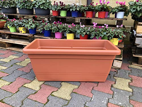 Generico FIORIERA Fioriere Vaso plastica Rettangolare da 100 CM Vari Colori Anthea da Interno e da Esterno AMDGarden (Terracotta)