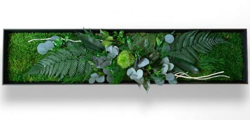 Générique tableau végétal stabilisé AUSTRALIA sans entretien - tableau de plantes et décoration murale d'intérieur, plantes et fleurs éternels made in France