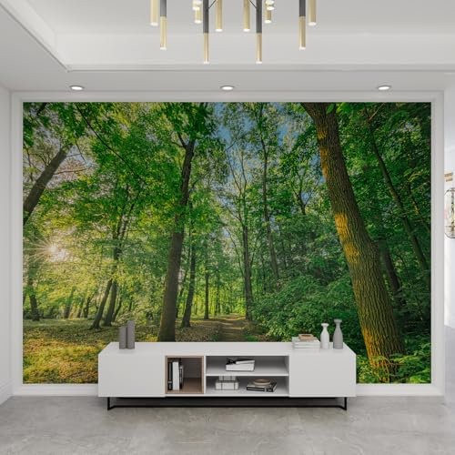 QDJKBL Green Forest Natural Scenery Wall Mural 3D Park Scenic Forest Trail Photo Wallpaper Wall Stickers and Murals Clear Picture Dry Without Bubbles for Your Child Adults Study Room - 100 x 70 cm