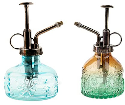 Tangger 2 Pcs regadera Vintage Botella de Agua de Cristal Retro regadera pequeña Bonsai Botella de Spray de Riego Planta Botella de Niebla a Presión Manual Pequeña Regaderas para Plantas Flor Jardín