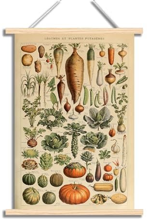 CHJQIERX Vintage-Poster – Illustrative Referenztabelle aus Holz zum Aufhängen – rustikale Bilder – Wissenschaftsraumdekoration – Schlafzimmer, Campus, Küche, rustikal, coole Heimdekoration mit Rahmen,