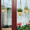 WandSticker4U®- XXL Fensterbilder Sommer selbstklebend HÄNGEPFLANZEN im Boho-Stil (112x59 cm) I Fensteraufkleber Fenstersticker Pflanzen Wohn- & Schlafzimmer Bad Küche Fensterdekoration GROß