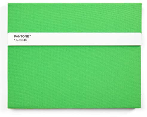 Pantone Notizbuch liniert, mit Stift und Lineal, 160 Seiten, Außenbemaßung LxBxT 240 x 190 x 20 mm, Green 16-6340