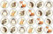 48 Woodland Animals 3cm Mini Discs Edible Wafer Paper Disc Cupcake Toppers (NOT PRE Cut)
