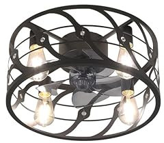 WDENI Caged Ceiling Fan with Lights and Remote, 19 Industrial Ceiling Fans with Lamps, Vintage Fan Light with 6 Speeds AC Motor and Timer for Living Room Kitchen Bedroom Farmhouse (black-)