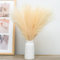 VIDSTW 30 Stück Pampasgras Hellgelb 55 cm Künstlich für Deko - Flauschig Faux Boho Wohnzimmer Deko für Zuhause Küche Hochzeit