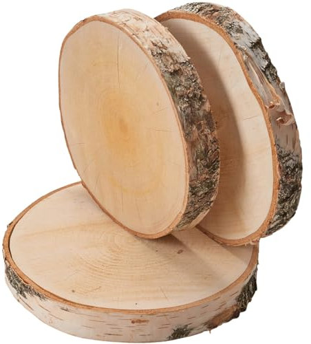 Große Holzscheiben zum Basteln oder Dekorieren - 3 Stück naturbelassene baum-scheiben ca. 20 cm (18 - 22 cm) Durchmesser aus birken-holz - runde Holz Birkenscheiben als Holzdeko Holzplatten