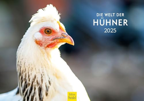 Edition Seidel Premium Kalender Die Welt der Hühner 2025 Format DIN A3 Wandkalender Tierkalender Hühnerkalender Haustiere Huhn Hahn Kücken Vögel