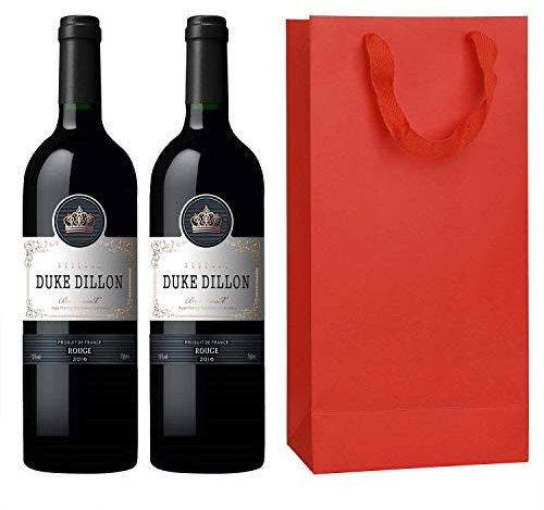 10 sacchetti per bottiglie di vino, 17 x 9 x 35 cm, due bottiglie, sacchetto regalo con manici in carta kraft, sacchetti per bottiglie di champagne