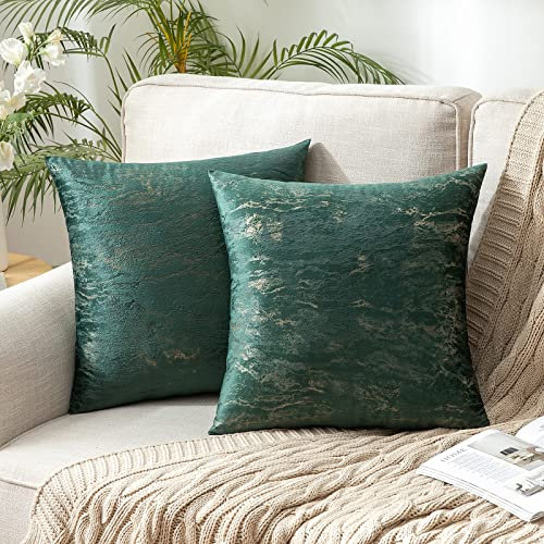MIULEE 2er Set Samt Kissenbezug Moderne Zierkissenbezug Dekorative Kissenbezüge Weich Kissenhülle Dekohülle Couchkissen Sofakissen Dekokissen Wohnzimmer Schlafzimmer 50x50 cm Dunkelgrün