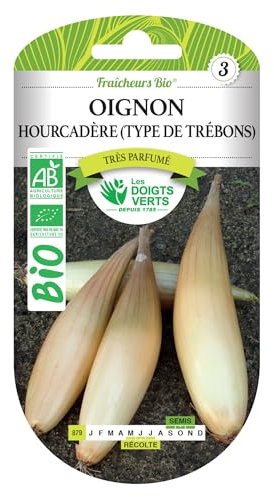 Les doigts verts Graines Oignon Hourcadère Type de Trébons Bio
