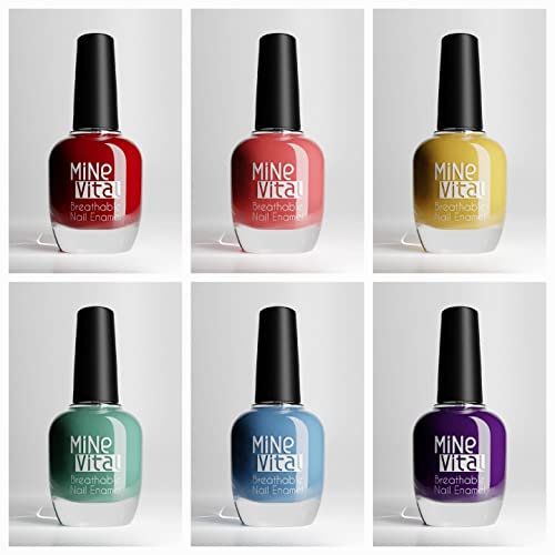 Halal Nail Polish Set of 6 Gorgeous Rainbow