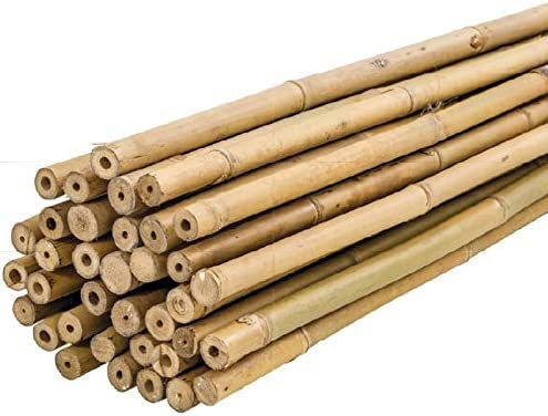 Peyca Tuteur en bambou naturel pour plantes 180 cm Lot de 5 unités