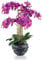 PASCH® XXL Kunstblume Orchidee groß (70cm) in Melamintopf | Orchideen künstlich | Kunstblumen wie echt