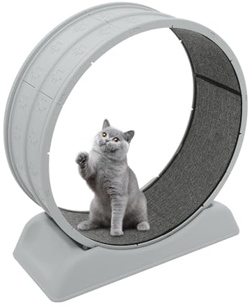 MEELRYD Cinta de Correr Desmontable para Gatos con Alfombra, Rueda de Plástico para Mascotas de Hasta 10 kg, Color Gris