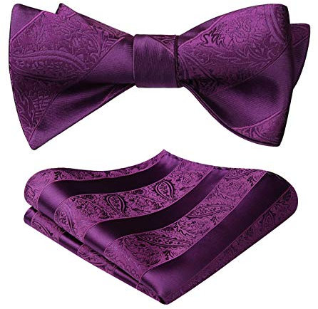 HISDERN Fliege Herren Set Violett Fliegen mit Einstecktuch Formale Klassische Paisley Verstellbar für Bräutigam Hochzeit Party Fasching
